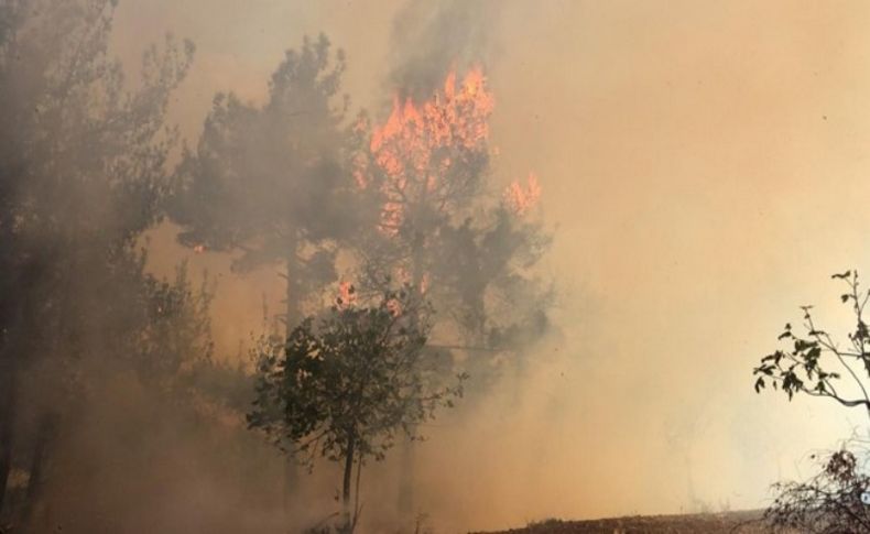 Hatay ve Mersin'de orman yangını