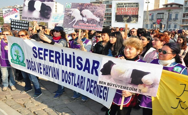 Hayvan hakları için kedi bıyığı ile eylem yaptılar