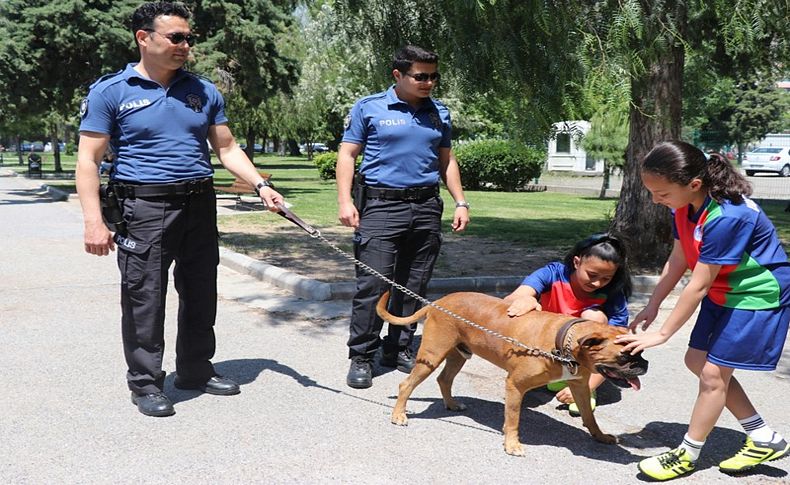 Hayvansever polis, kedi evini yakanları 48 saatte buldu