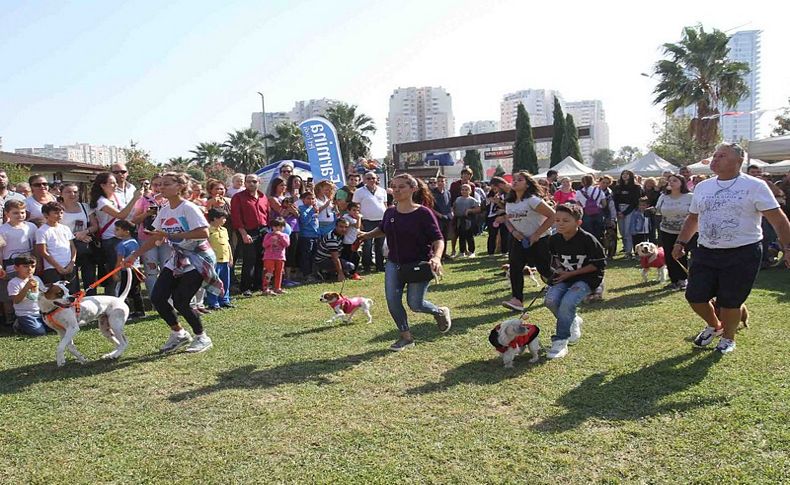 Hayvanseverler Pati Festivali’nde buluştu