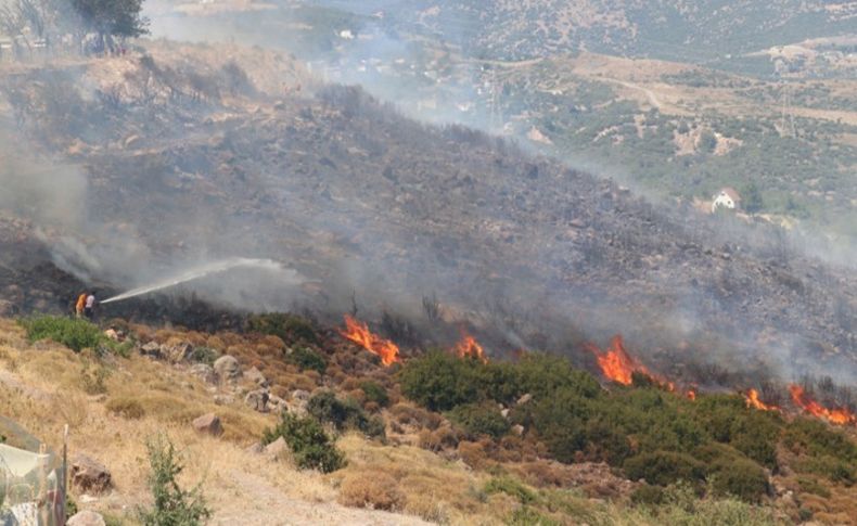 Homeros Vadisi'nde korkutan yangın!