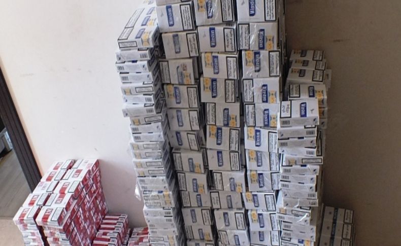 Hopa'da bin 420 paket gümrük kaçağı sigara ele geçirildi