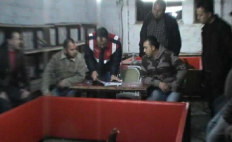 Horoz dövüşüne jandarmadan operasyon: 4 gözaltı