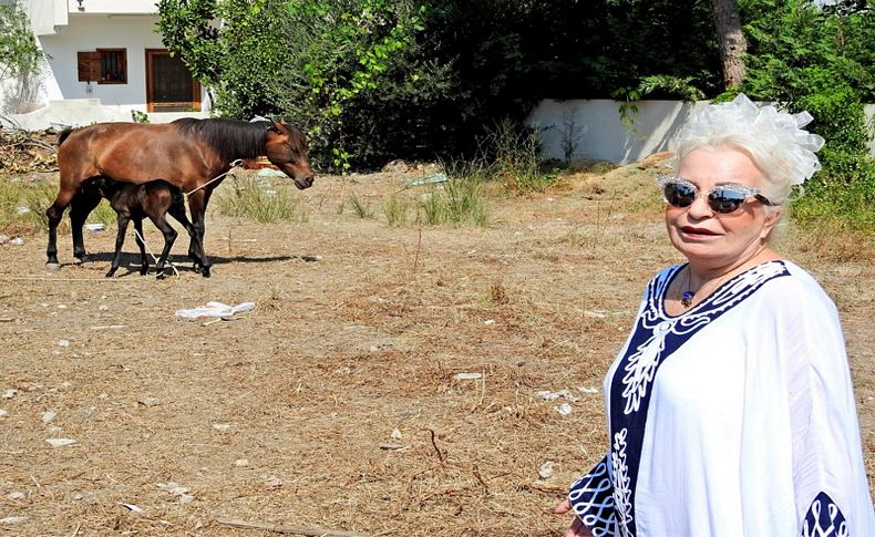 Hurdacının terk ettiği hamile atı sahiplendi