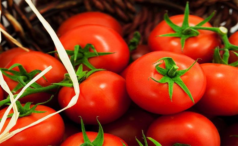 İhracatçılar Rusya'nın domateste kotayı kaldırmasını talep ediyor