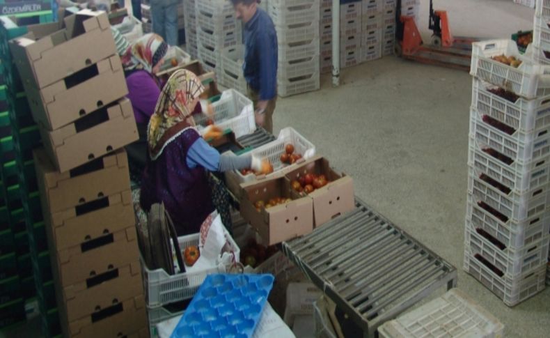 Irak Fethiye'nin yeni ihracat pazarı oldu