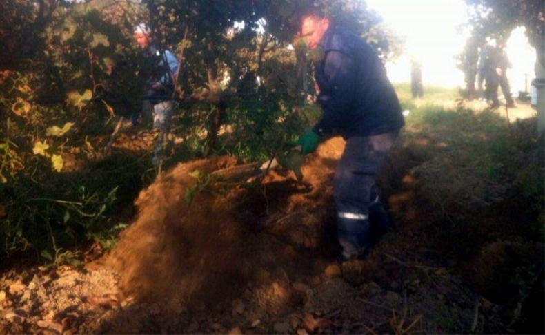 Aramalar 3'üncü gününde tekrar başladı