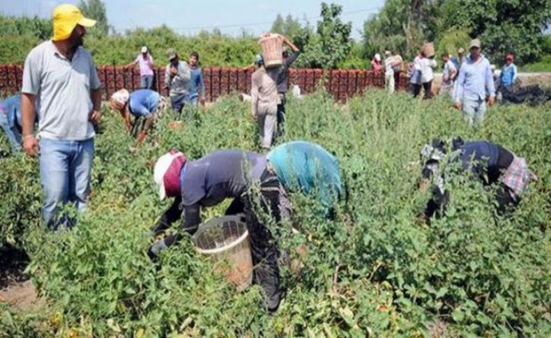 İşsizlik rakamları açıklandı