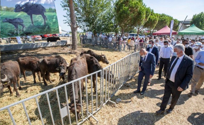 İzmir Büyükşehir Belediyesi'nin üreticiye desteği sürüyor