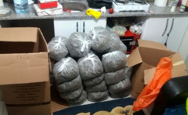 İzmir'de 33 kilo skunk ele geçirildi