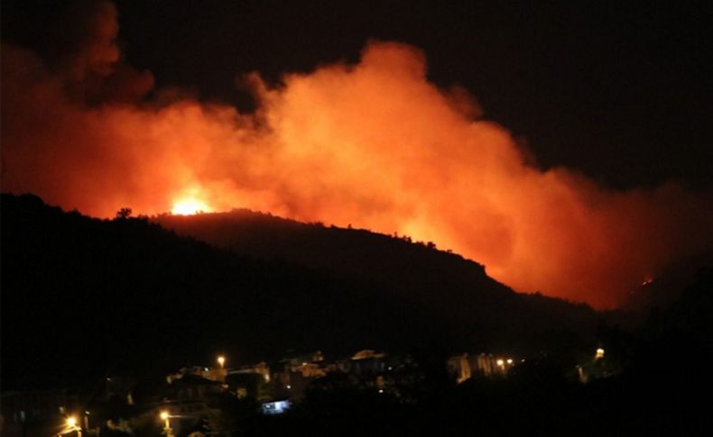 İzmir'de 430 hektar ormanın yanmasına neden olduğu öne sürülen şüpheliye dava