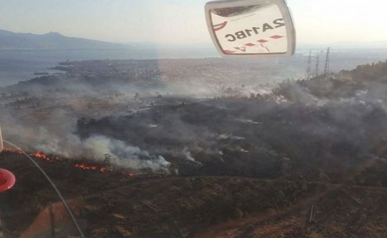 İzmir'de ağaçlandırma alanında yangın