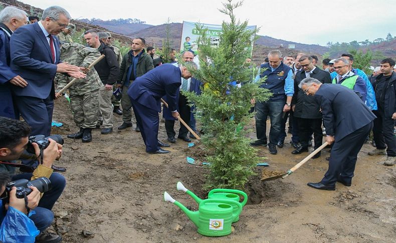 Binlerce İzmirli yağmur altında yanan ormanlık alanlara fidan dikti