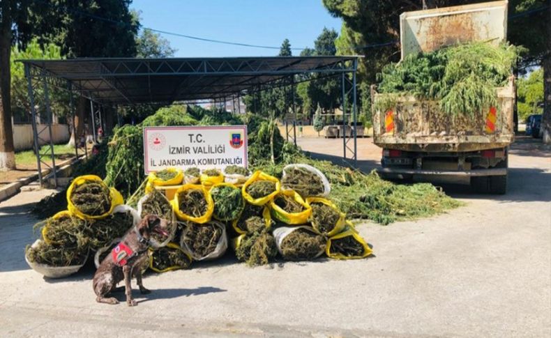 İzmir'de büyük uyuşturucu operasyonu