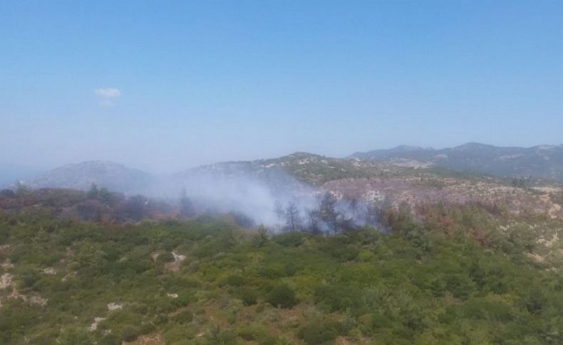 İzmir'de çıkan orman yangını kontrol altına alındı