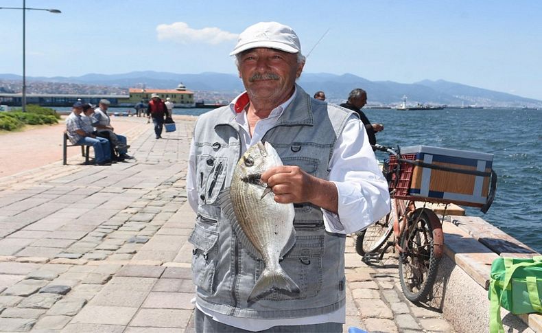 İzmir'de çipura ve lidaki zamanı