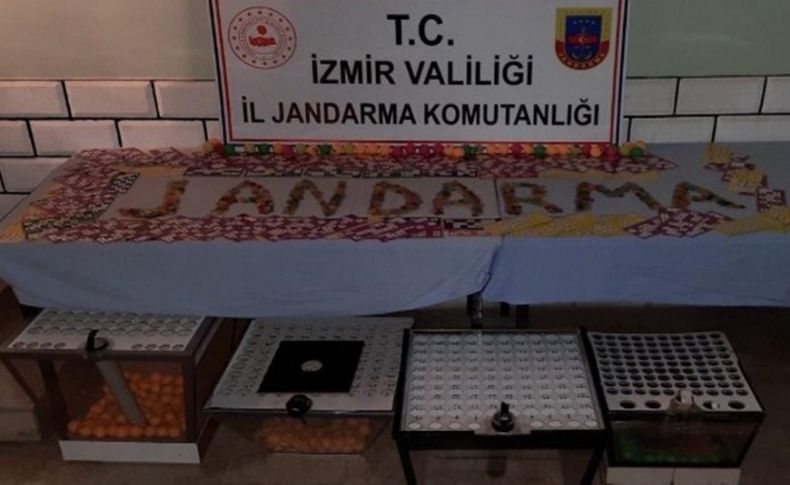 İzmir'de dernek binaları ve depolara eş zamanlı kumar operasyonu