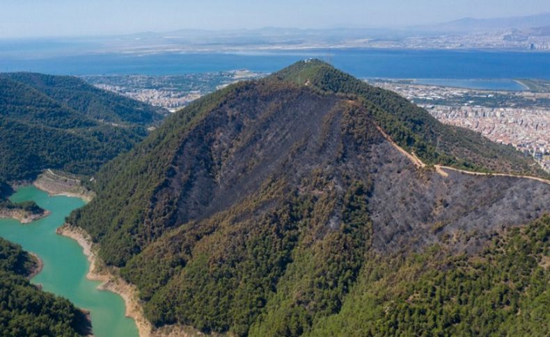 İzmir'de dün yanan orman alanı havadan görüntülendi