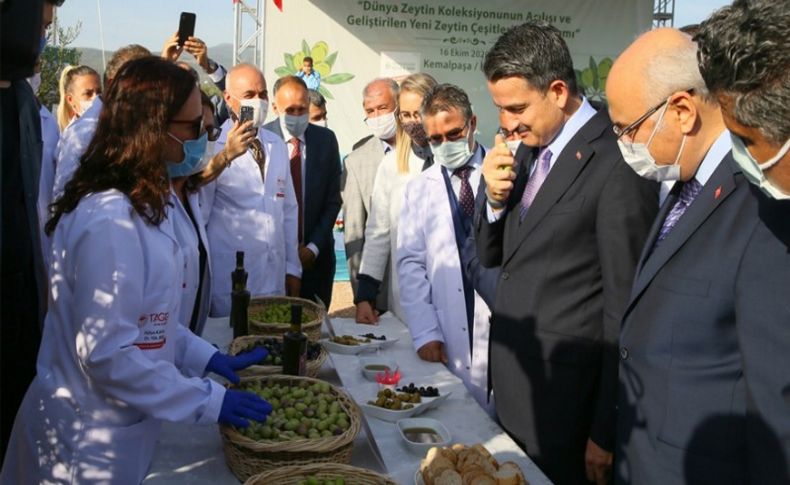 İzmir'de Dünya Zeytin Koleksiyonu'nun açılışı yapıldı