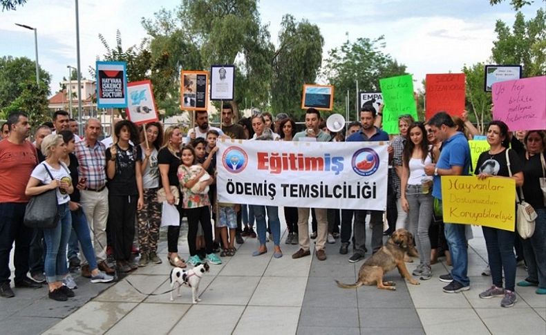 İzmir'de hayvanlara yönelik şiddete tepki