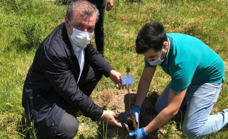 İzmir'de karantina süresi dolan vatandaşlara fidan hediye edildi