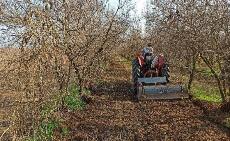 İzmir'de kısıtlamaya rağmen tarlalarda üretim devam etti