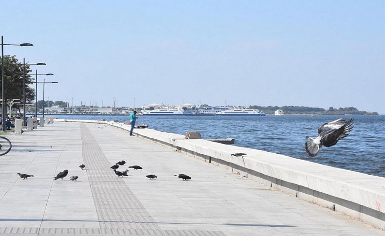 İzmir'de Körfez kirliliği ve kokudan amatör balıkçılar da dertli