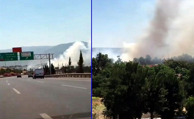 İzmir'de korkutan yangın