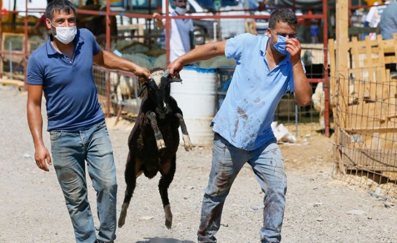 İzmir'de kurban ibadeti Kovid-19 tedbirleri altında yerine getirildi