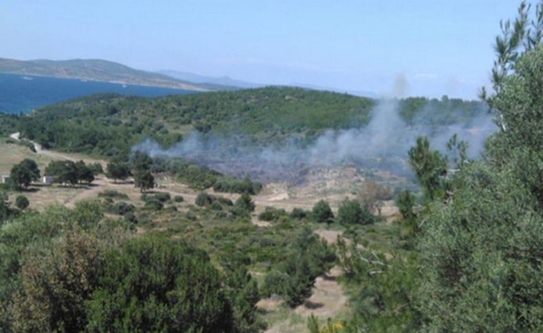 İzmir'de makilik alanda korkutan yangın!