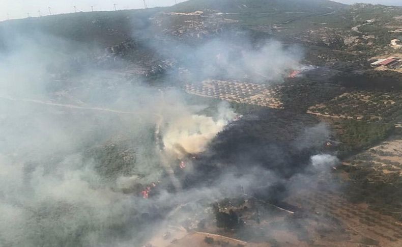 Foça'da besi çiftlikleri yakınında yangın