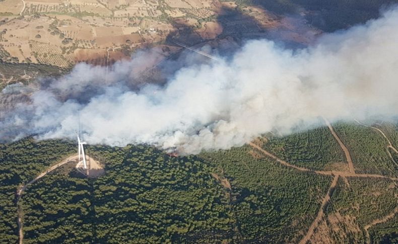 Urla'da orman yangını