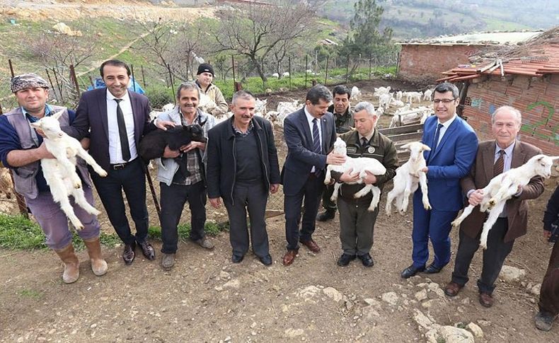 İzmir'de orman köylüsüne Saanen tekesi desteği