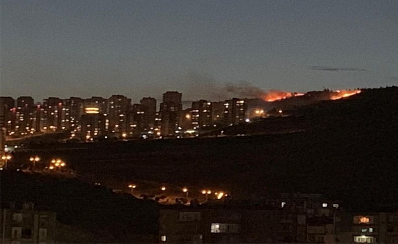 İzmir'de orman yangını