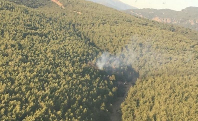 İzmir'de orman yangını