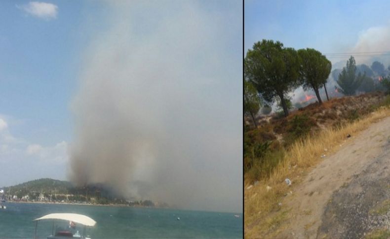 İzmir'de orman yangını çıktı