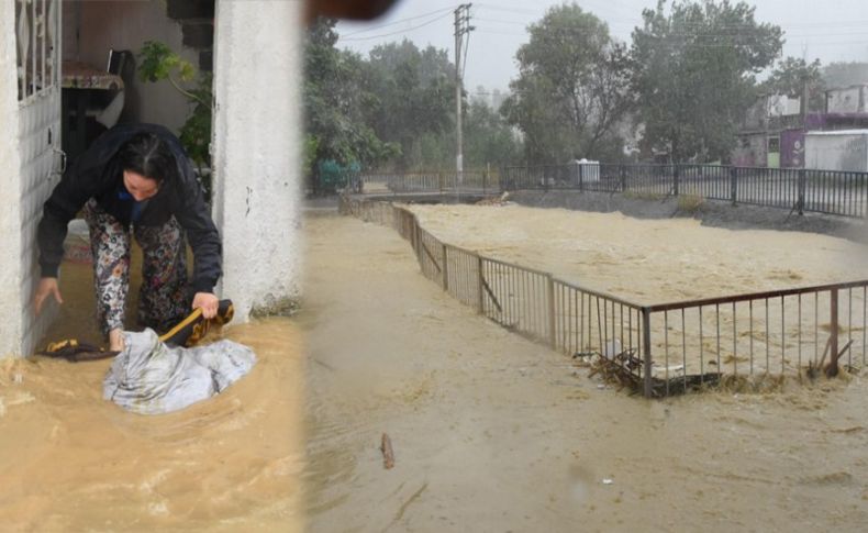 İzmir'de sağanak kabusu! Dere taştı, ev ve iş yerleri su altında