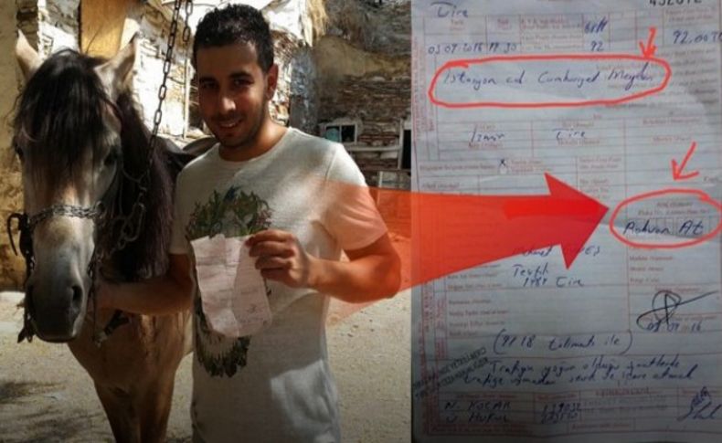 İzmir'de şaşkınlık veren olay: 'Rahvan' gitti, ceza yedi