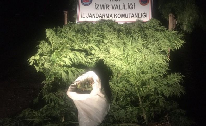 İzmir'de uyuşturucu operasyonu