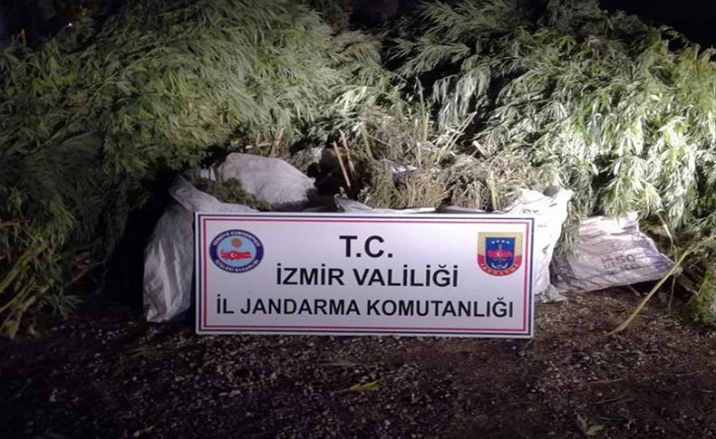 İzmir'de uyuşturucu operasyonu