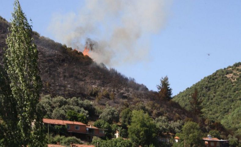 İzmir'de yeşile yine ateş düştü