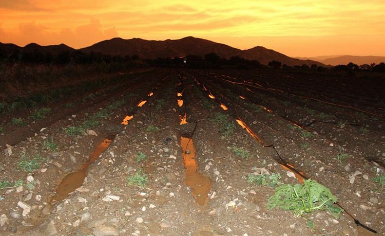 İzmir'deki sağanak ve dolu mahsullere zarar verdi