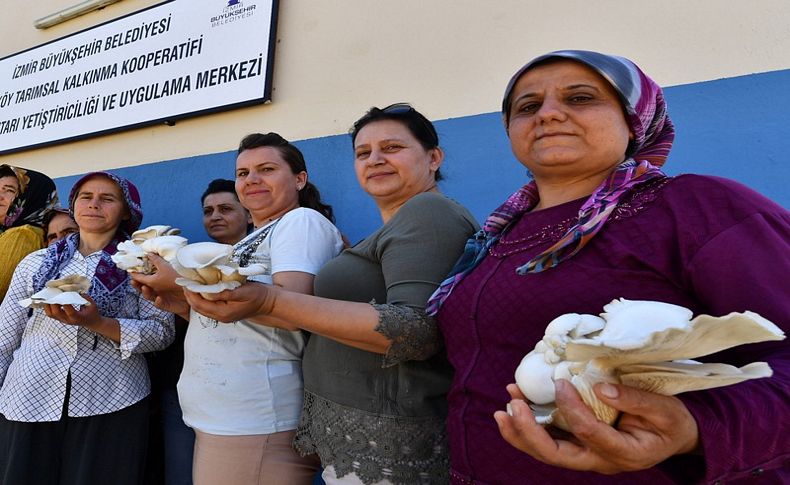 Mantar köyünün kahraman kadınları
