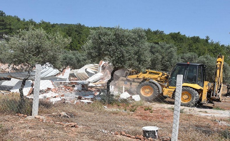 Buca'da kaçak yapılara yıkım... İzmir'in akciğeri temizleniyor