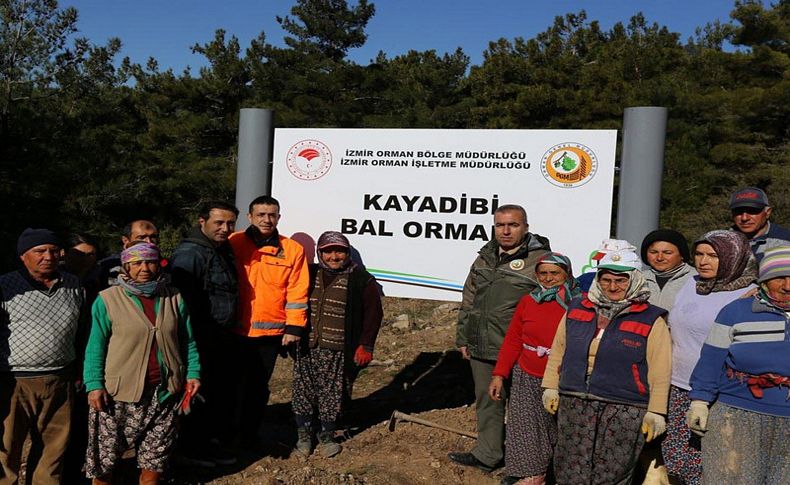 İzmir'in dağlarında 'bal ormanları' yeşeriyor