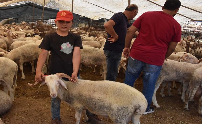 İzmir'in pazarlarında kurban telaşı sürüyor