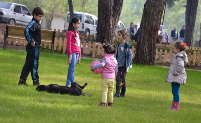 İzmir'in yeni cazibe merkezi: Kemalpaşa