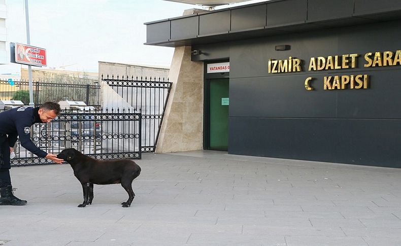 İzmir kahramanını anacak!