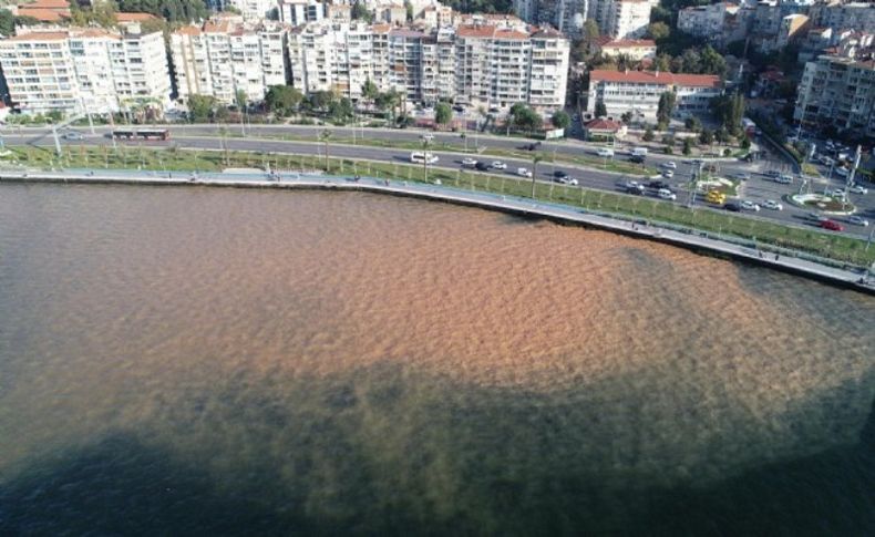 İzmir Körfezi kahverengiye döndü: İşte nedeni!