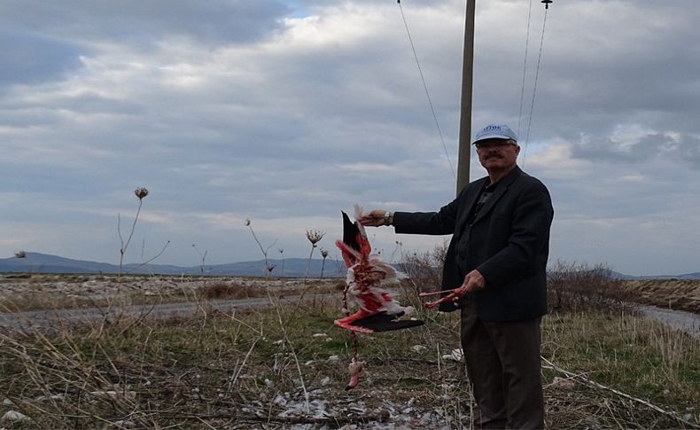 İzmir Kuş Cenneti’ndeki ölümler Meclis gündeminde